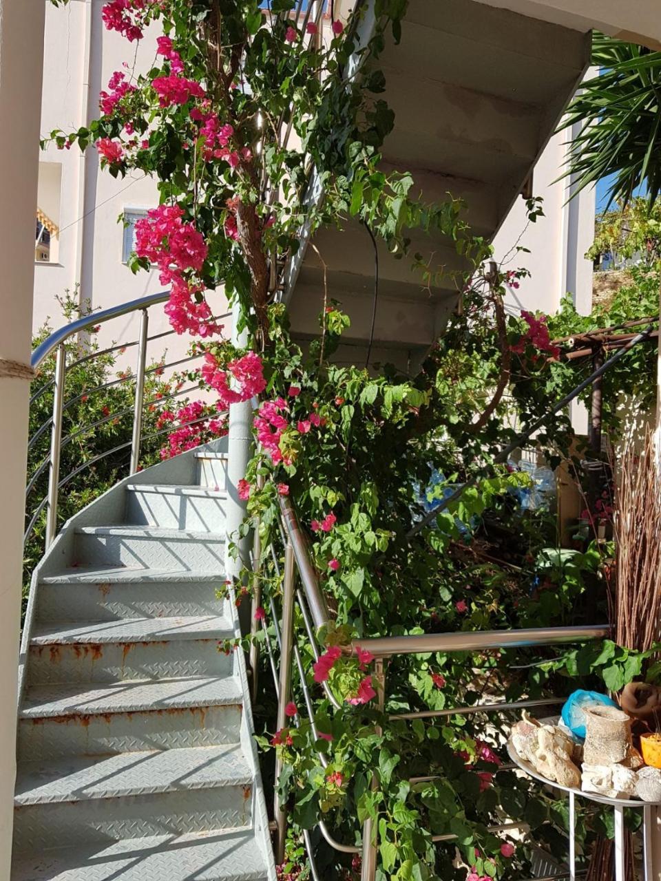 شقة ★ Meniko'S House ★ Cozy Nest هيماري المظهر الخارجي الصورة